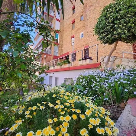 Apartment Large In Front Of The Beach! Withparking